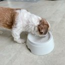 까까마망 이미지