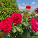 현내리경로당 이미지