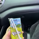 빌라마래 이미지