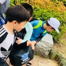 상록태권도 이미지