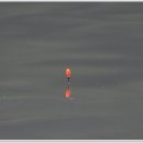 추곡낚시터 이미지