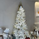 씨에스타 | 부산 양정 맛집, 분위기 좋은 이탈리안 레스토랑 씨에스타 후기