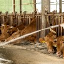 상승농장 이미지