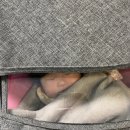 청주상당도서관 | 4개월 육아일기 / 청주상당도서관 산책일기