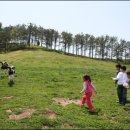 임실치즈마을 이미지