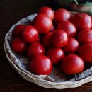 준혁농장 이미지