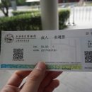 피치스무역 - 관악구 남부순환로 1430 | 상하이자연사박물관 후기