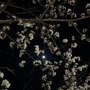 은파호수공원 9-4 이미지