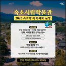속초시립박물관 이미지