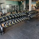 헬스더맥스헬스&PT동탄점 | 기구 맛집으로 정평이 난 헬스장 동탄 헬스장 헬스더맥스 헬스&amp;PT 동탄점을 소개합니다