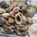 모아회집 이미지