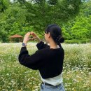 생태공원 이미지