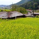 금산마을 이미지