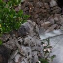 고란집 민박 이미지