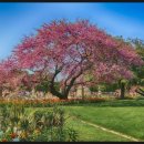 관양본신경외과의원 이미지