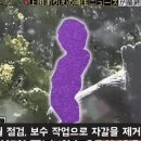 요로결석 치료한 일본 오줌싸개 동상 이미지