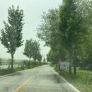 충무코다리 이미지