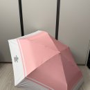 피치핑크 | [스타벅스] 데일리 피치 핑크 양우산 내돈내산 솔직후기 (가격, 무게, 실물 비교)