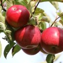 다정다감 이미지