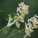 괴불노리개 키링 만들기 이미지