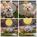 개러리아 송파점 이미지