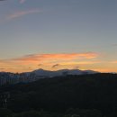 멕시칸치킨 이미지