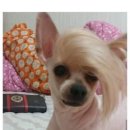 할머니집 이미지