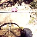 동산태양광발전소 이미지