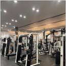 다이아짐 이미지