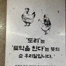 까치파크 | 대연동 '까치 솥뚜껑 닭도리' 오픈 소식!