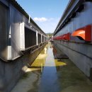 혜숙농장 이미지