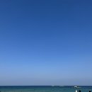 불개미식당 - 강릉시 | 불개미식당