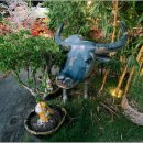 드림레지던스 | 베트남 푸꾸옥 프리미어 레지던스 지배인 알려드림!