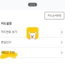 kb 톡톡 mypoint 카드 단종 예정 -＞재발급 신청으로 3년 연장하시긔 이미지