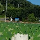 해광중기 대표 김옥분 | 백화도량 종남산 송광사(終南山 松廣寺) 1편
