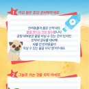 사랑플러스 동물병원 이미지