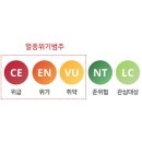 황금과일 이미지