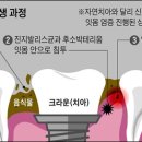 공감백치과 이미지