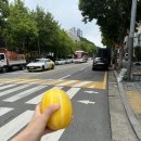 큐 떼구루 네이버블로그