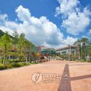 을지종합기획 이미지