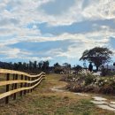 큰동산목장 이미지