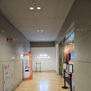 고고 268 이미지