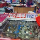 영철어패류