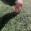 증산공원(상) 이미지