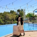 록기어 | 30인치 대형 이쁜 캐리어 트래블기어 후기, 압축팩 압축캐리어 추천