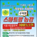 스마트큐브 1차 이미지