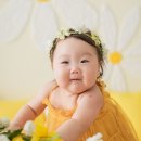 시니스튜디오 이미지