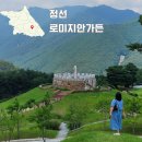 가리왕산목장 | 강원도 정선 가볼만한곳 로미지안가든, 강원 최대 수국 명소, 대규모 정원 여행 후기