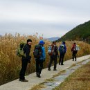 세포삼거리 이미지