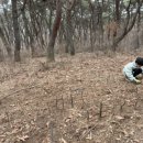 준성농장 이미지